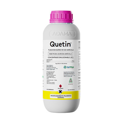 Quetin