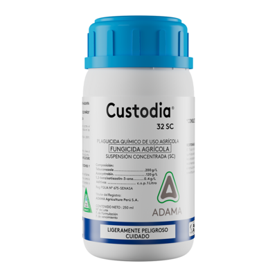Custodia