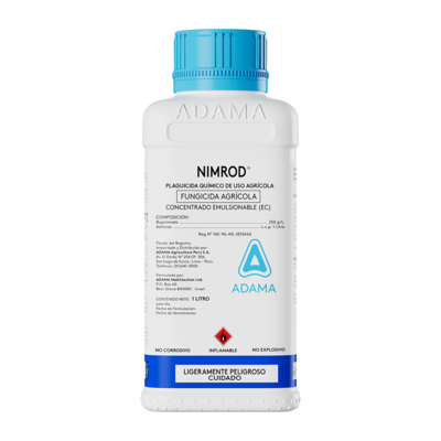 Nimrod