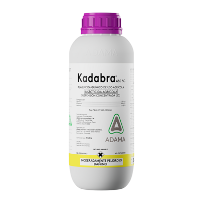 Kadabra
