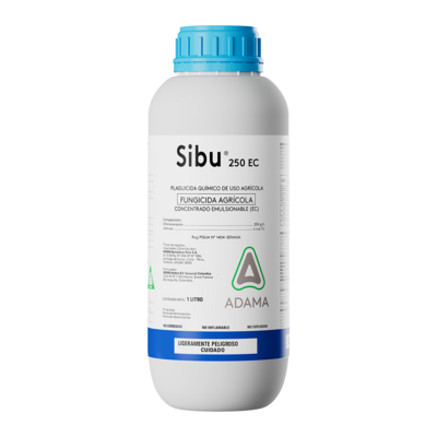 Sibu