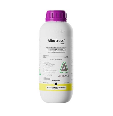 ALBATROSS