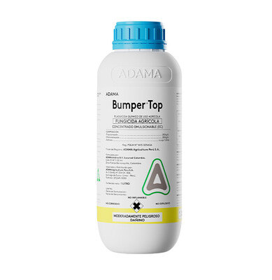 BUMPER TOP