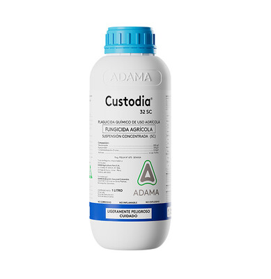 CUSTODIA 