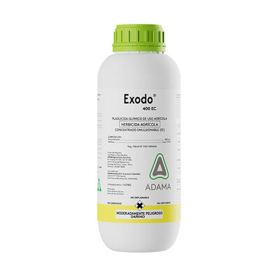Exodo