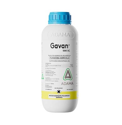 GAVAN