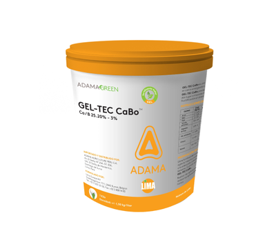 GEL TEC CABO