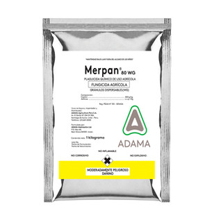 Merpan