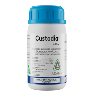 Custodia 