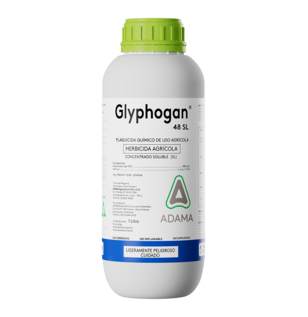 Glyphogan