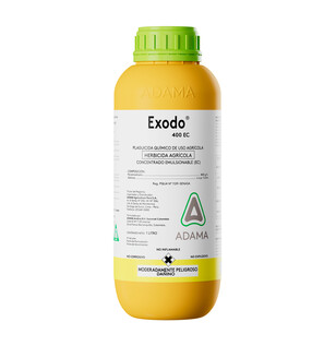 Exodo