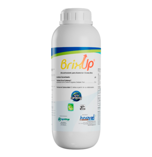 Brix Up Bioestimulante