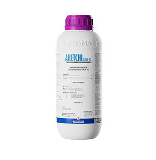 AKETCHI