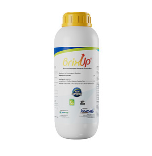 Brix Up Bioestimulante