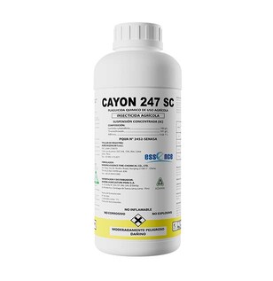 CAYON