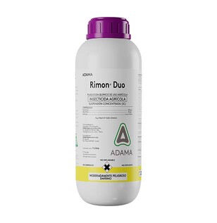 Rimon Duo
