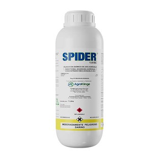 Spider