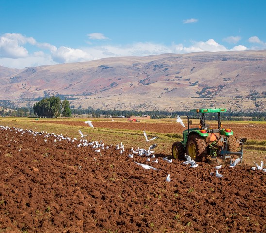 Tractor Perú