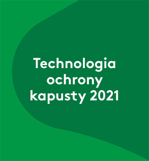 Technologia ochrony kapusty 2021