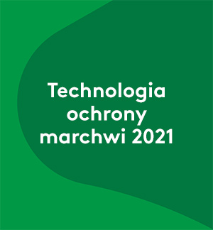 Technologia ochrony marchwi 2021