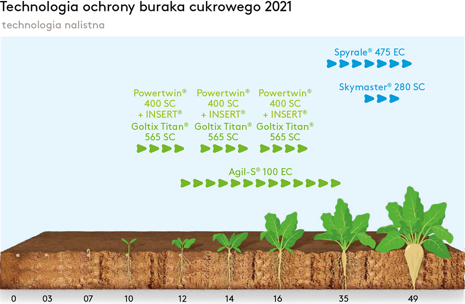 Technologia ochrony buraka cukrowego 2020 (nalistna)