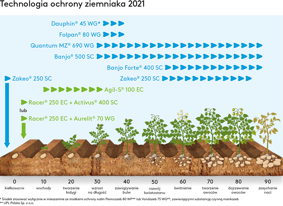 Technologia ochrony ziemniaka 2020