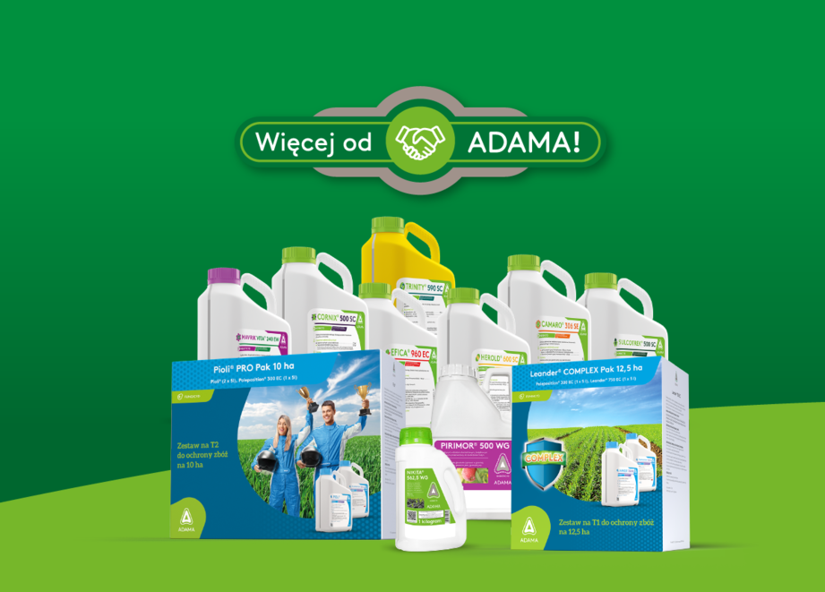 Więcej od ADAMA