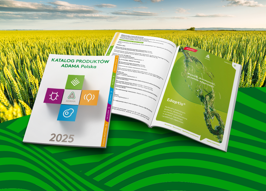 Katalog produktów 2025
