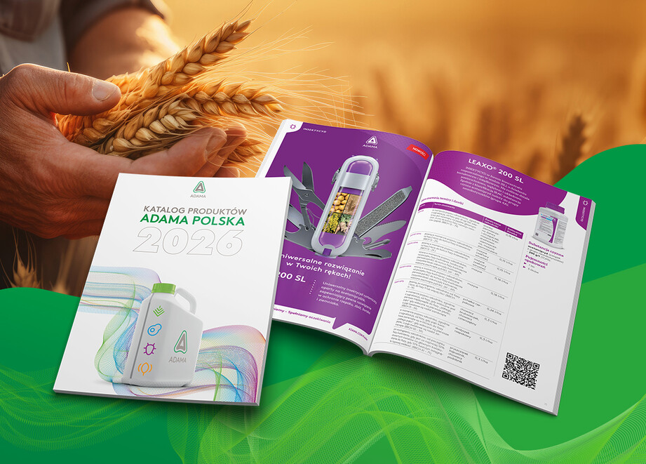 Katalog produktów 2026