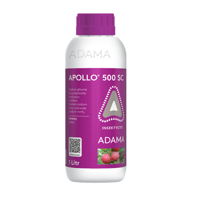 Apollo 500 SC