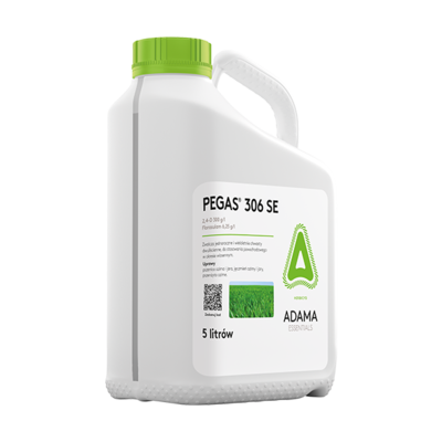 Pegas 306 SE