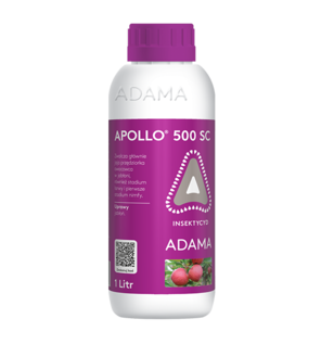 Apollo 500 SC