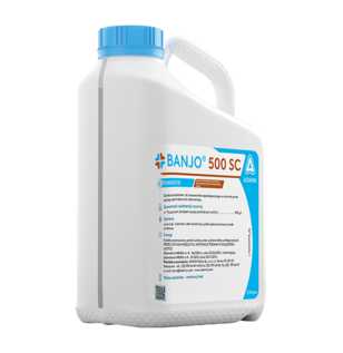 Banjo 500 SC