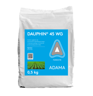 Dauphin 45 WG