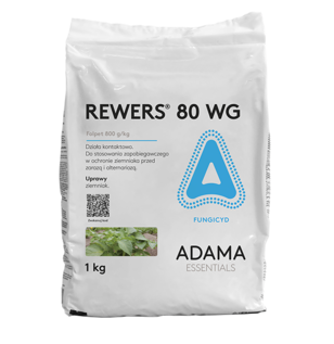 Rewers 80 WG