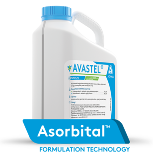 AVASTEL