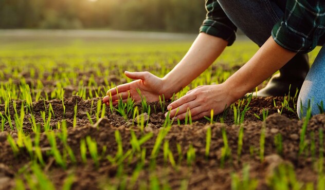 sustentabilidade ambiental