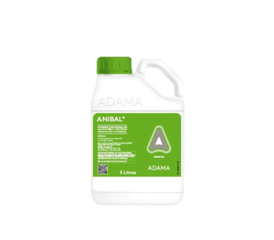 Anibal