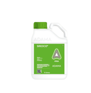 Sirocco product