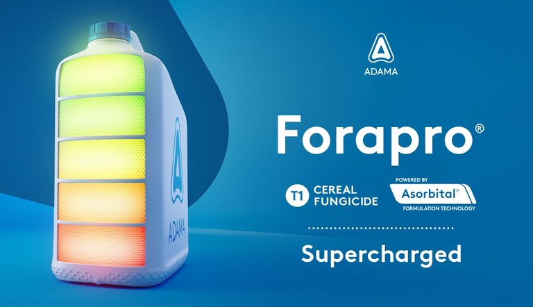 Forapro adama