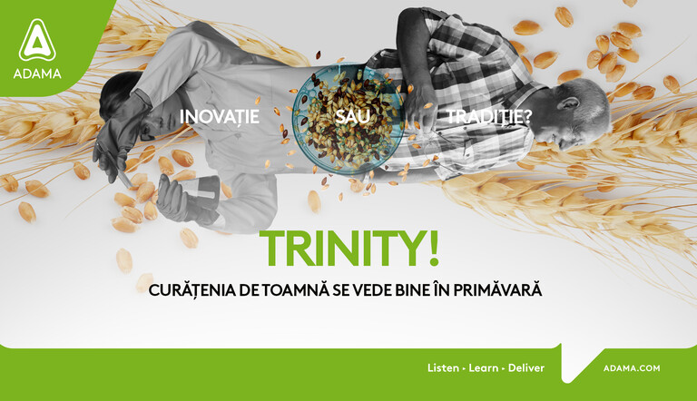 visual trinity adama