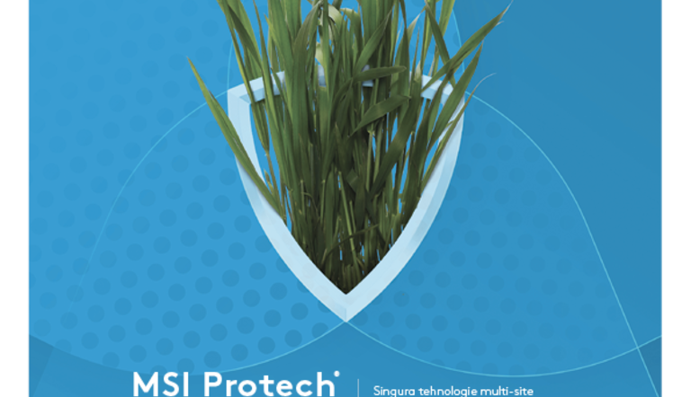 MSI - Business Press - A4.png