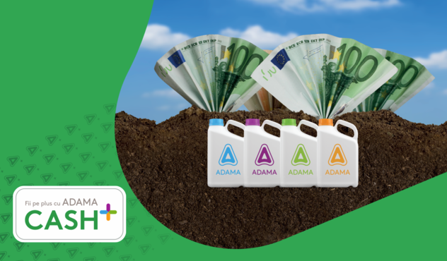 Adama Cash+