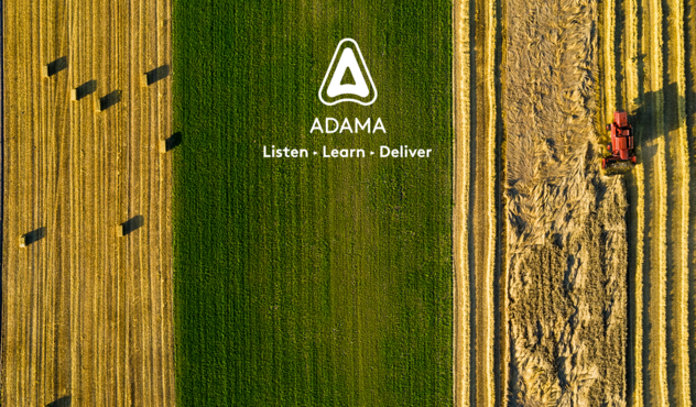 Vizunea ADAMA de viitor