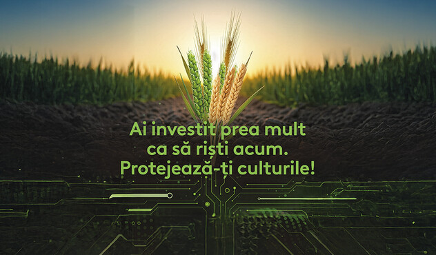 Investitie culturi