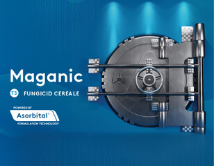 Maganic