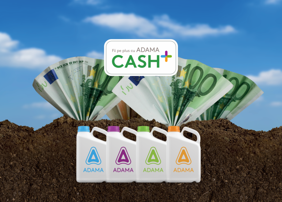 Cash Plus