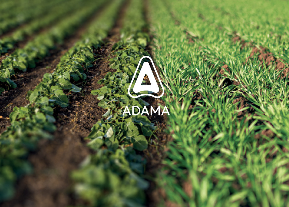 banner site_modificat