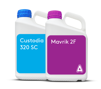 Pachet Custodia Extra