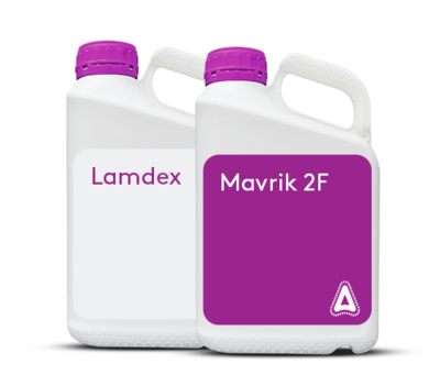 Pachet Mavrik Extra